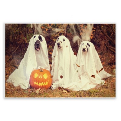 Stupell Industries Vintage Photography Halloween Pumpkin And Ghost Dogs Wall Plaque Art