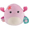 Squishmallows 10" Arco The Hermit Crab & Cailey The Crab 2-Pack Sealife Squad Plush - Collectible Sea Stuffed Animal Toy - Gift for Kids, Girls & Boys - 2 of 4