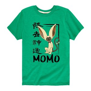 Boys' - Avatar: The Last Airbender - Momo Cute Short Sleeve Graphic T-Shirt - 1 of 4