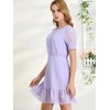 Allegra K Women's Elegant Short Sheer Sleeve Ruffle Hem Swiss Dots Chiffon Dress - 4 of 4