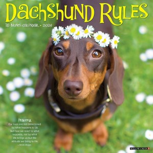 Willow Creek Press 12"x12" 2026 Dachshund Rules Wall Calendar - 1 of 4
