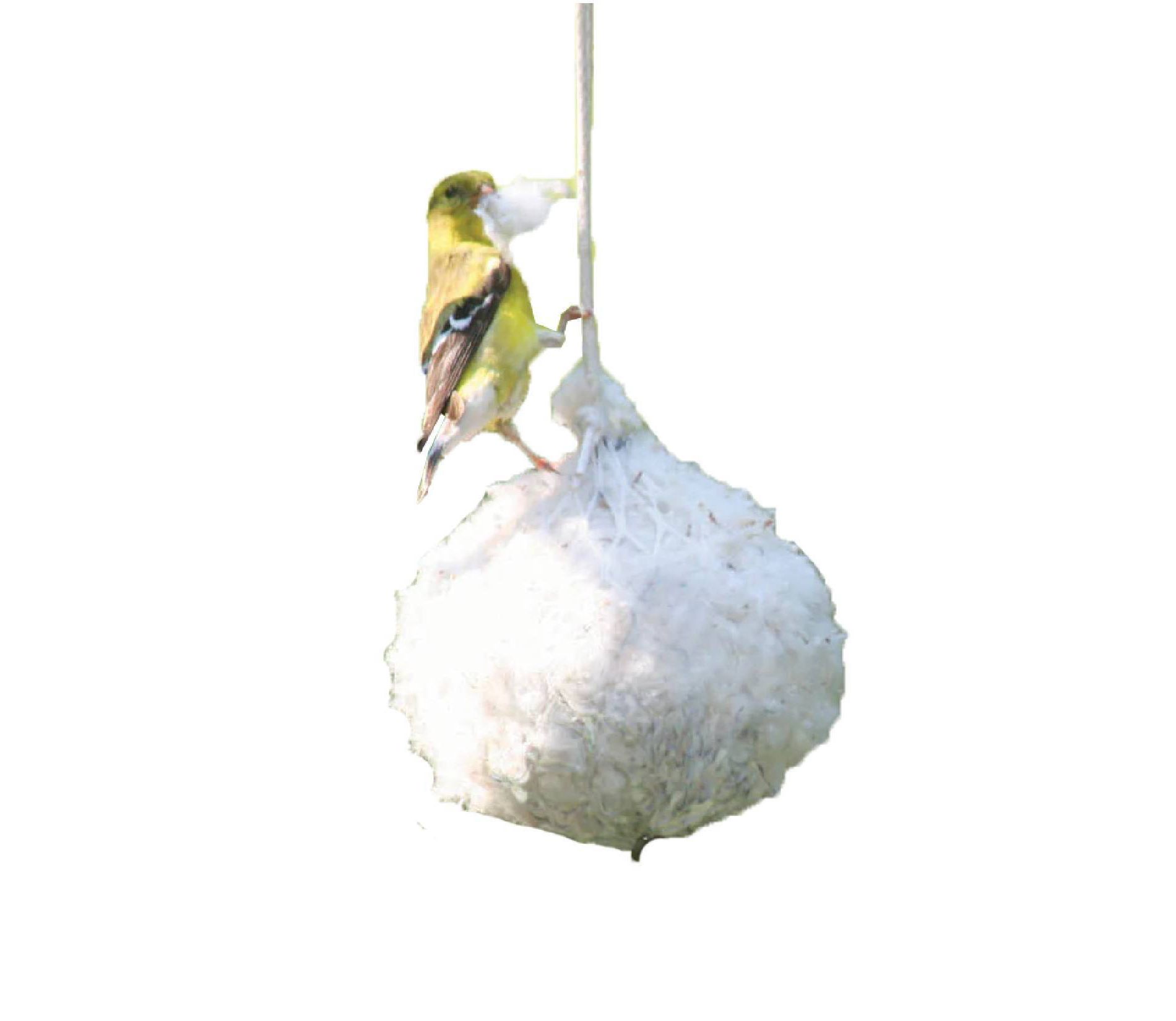 Birds Choice Cotton Nest Building Material