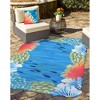 Liora Manne Visions III Coastal Indoor/Outdoor Pillow.. - 2 of 4