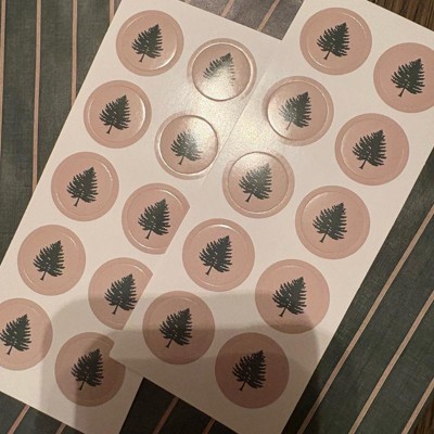 Guest review image 2 of 3, zoom in