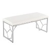 TiramisuBest Contemporary Bench in Silver Metal and Camel Faux Leather, 18.0"L Entryway Bench - 2 of 4
