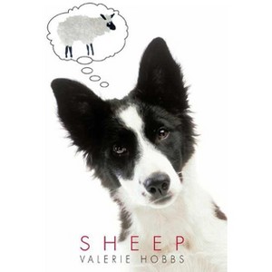 Sheep - by  Valerie Hobbs (Paperback) - 1 of 1