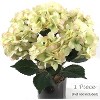 Floral Home 20" Green Pink Hydrangea Bush - 6-Piece - 3 of 3