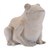 Resin Frog 6"H - 2 of 2