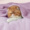 Bedsure Flannel Blanket – Solid Color Plush Throw, Ultra Soft and Fuzzy, 300GSM Lightweight Cozy Blanket for Bed or Sofa - 3 of 4