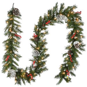 National Tree Company Pre-Lit Artificial Christmas Garland, Green, Frosted Berry, White Lights, with Pine Cones, Berry Clusters, Plug In, 9 Feet - 1 of 4