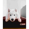 Big Barker 7" Orthopedic Dog Bed - Sleek Edition - 3 of 4