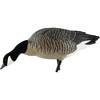Avian X AXP Lessers : Feeder Pack of 6 Decoys - 2 of 2