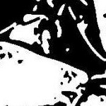 clear push pins bundle