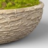 3.5 Artificial Moss In Textured Pot Green - Threshold™ Designed With  Studio Mcgee : Target
