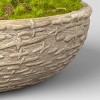 3.5" Artificial Moss in Textured Pot Green - Threshold™ designed with Studio McGee: Faux Plant Decor, Cement Base - 4 of 4