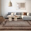 Acekool 9x12 Washable Area Rug, Modern Printed Braided Look, Non-Slip, Stain Resistant Large Brown Carpet for Bedroom, Living Room, Dining Room - 4 of 4