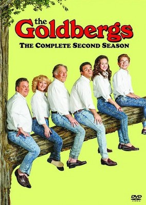 The Goldbergs: Season 2 (DVD)