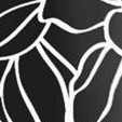 black outline bloom