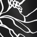 black outline bloom
