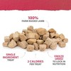 Caledon Farms Lamb Flavor Freeze-Dried Bites Dog Treats - 4.1oz - 3 of 4