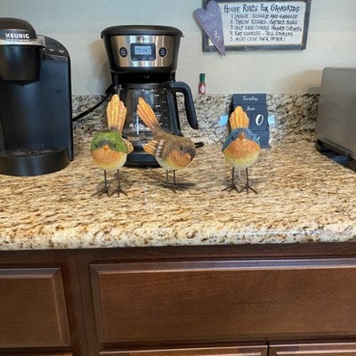 Guest review image 4 of 4, zoom in
