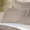 1pc 400 Thread Count Sham -Belles & Whistles - image 3 of 4