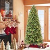 Gulches Lush Festive Christmas Tree - 9FT, 2435 PVC+PE Mixed Tips, 700 Warm White LEDs, Hinged Structure, Metal Stand - 4 of 4