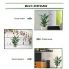Floral Home 3' Spathiphyllum Plant in Pot - 6-Piece - 3 of 4