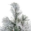 Northlight 4.5' Flocked Black Spruce Artificial Christmas Tree - Unlit - 3 of 4
