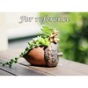 Resin Simulation Hazelnut Succulent Plant Pot Small Decorative Planter for Succulent Cactus - 2 of 2