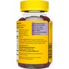 Nature Made Elderberry with Vitamin C and Zinc for Immune Support Gummies - Raspberry - 4 of 4