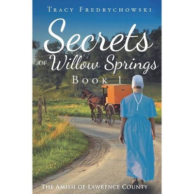 Secrets of Willow Springs - Book 1 - by  Tracy Fredrychowski (Paperback)