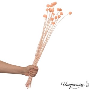 Uniquewise Preserved Real Floral Stems Chic Vase Fillers & Accents for Bouquets Centerpieces - 1 of 4