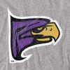 Men's Hunter College Official Distressed Primary Logo T-Shirt - 2 of 4