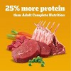 Pedigree High Protein Beef and Lamb Flavor Dry Dog Food - 4 of 4