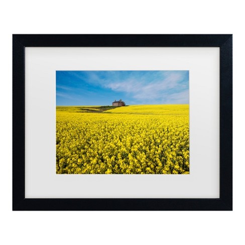 Peter Elgar The Canola Field Matted Framed Art : Target