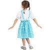HalloweenCostumes.com Gingham Kansas Girl Toddler Costume - 3 of 4