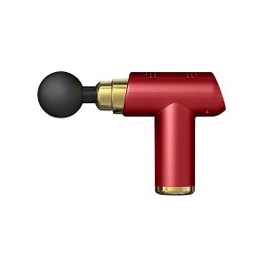 ZTECH PrestigePro 6 Speed Massage Gun with 4 Attachments - 1 of 4