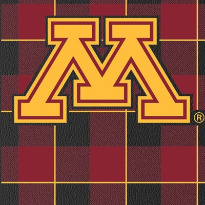 minnesota golden gophers