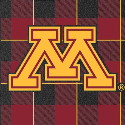 minnesota golden gophers