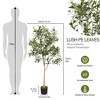 NAYSAYE Planter 150cm Removable Artificial Olive Tree Faux Greenery for Indoor Outdoor Garden, Green, 19.7"*19.7"*59" - 3 of 4
