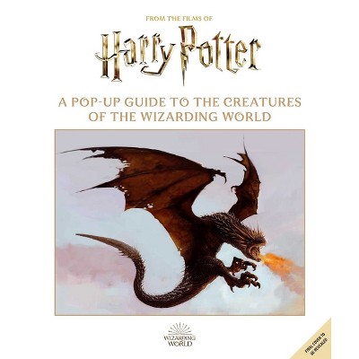 Harry Potter: Hedwig Pop-up Advent Calendar - (reinhart Pop-up Studio) By  Matthew Reinhart (hardcover) : Target