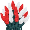 Novelty Lights C6 Coaxial 24 Feet  70 LED Christmas String, Commercial Grade Green Wire - 4 of 4