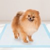 Tangkula 24"x 17"(300 Counts) Dog Potty Training Pads Puppy Pee Pads w/ Quick-Drying - 2 of 4