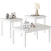 Hooseng Coffee Table Set of 3, Rectangle Coffee Table with Two End Side Table, Faux Marble Tabletop Style with Metal Frame - 4 of 4
