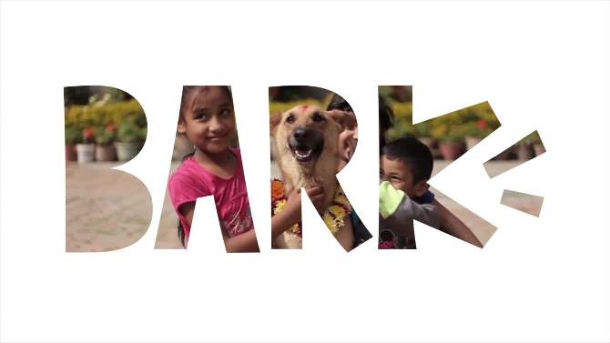BARK Big Al Paca Dog Toy, 2 of 13, play video