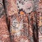 rose multi print