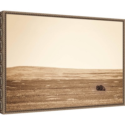 Sepia Bison Landscape Framed Canvas Wall Art 23 x 16
