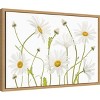 Amanti Art Ox eye Daisies by Mandy Disher Canvas Wall Art Print Framed 23 x 16-in. - 2 of 4