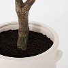 76.5"x 30" Artificial Olive Tree in Ceramic Pot - Threshold™ designed with Studio McGee - image 4 of 4